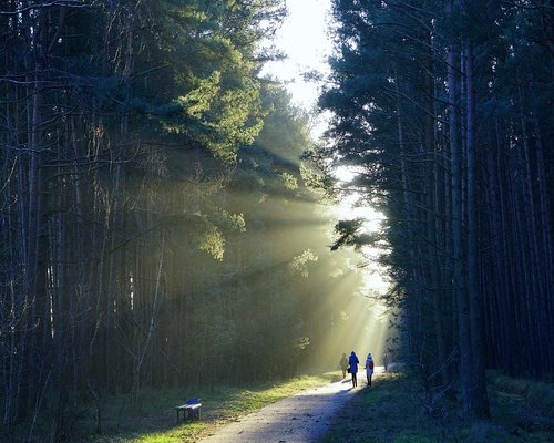 Person hiking and enjoying fresh air